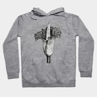 Corpse flower (Amorphophallus titanum) Hoodie